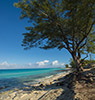 ostrovy Bimini